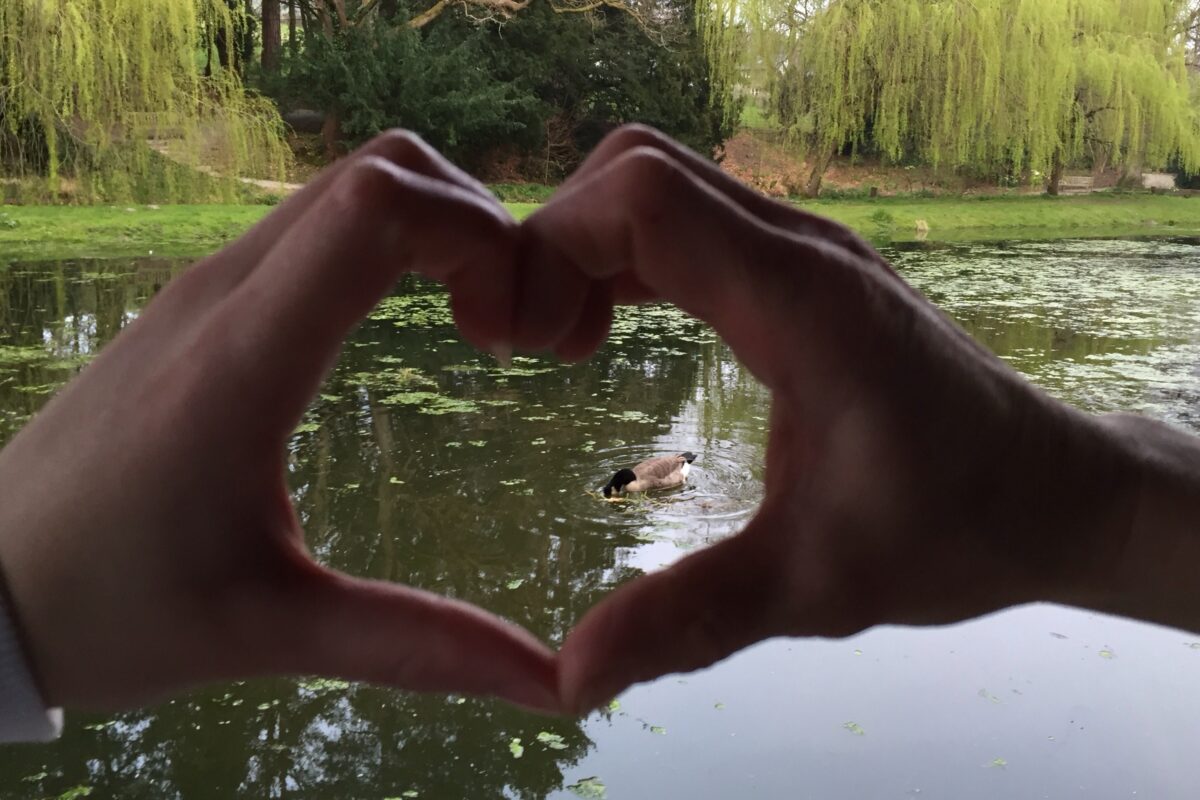 A photo of mine and my mum's hands connected together creating a heart shape