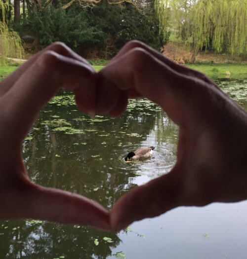 A photo of mine and my mum's hands connected together creating a heart shape