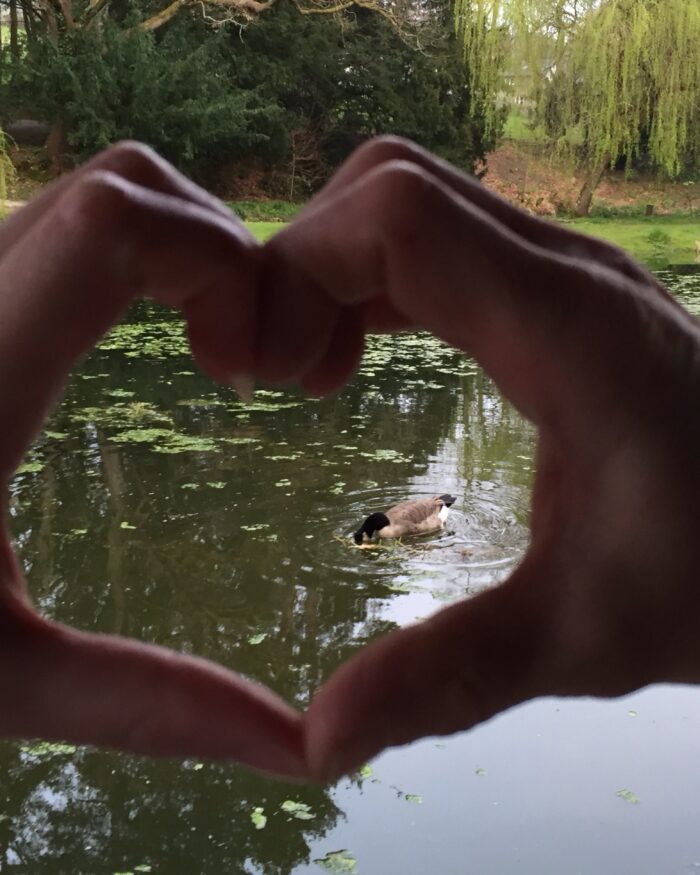 A photo of mine and my mum's hands connected together creating a heart shape