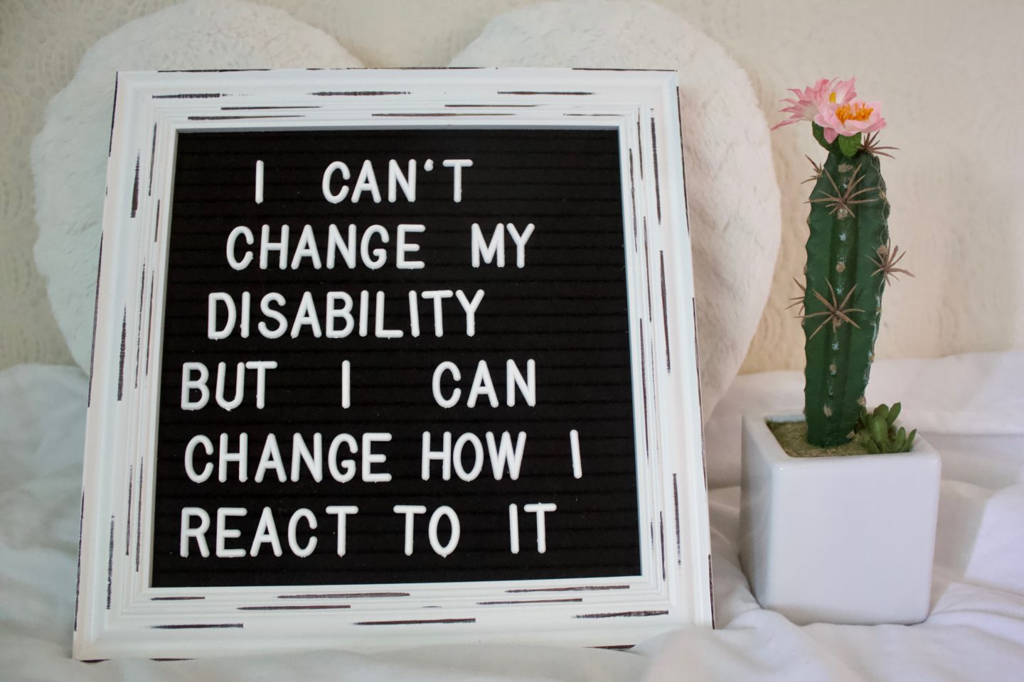 A felt letter board is propped up on a white heart shaped cushion and there is a fake cactus beside it. The writing on the board says 'I can't change my disability but I can change how I react to it'.