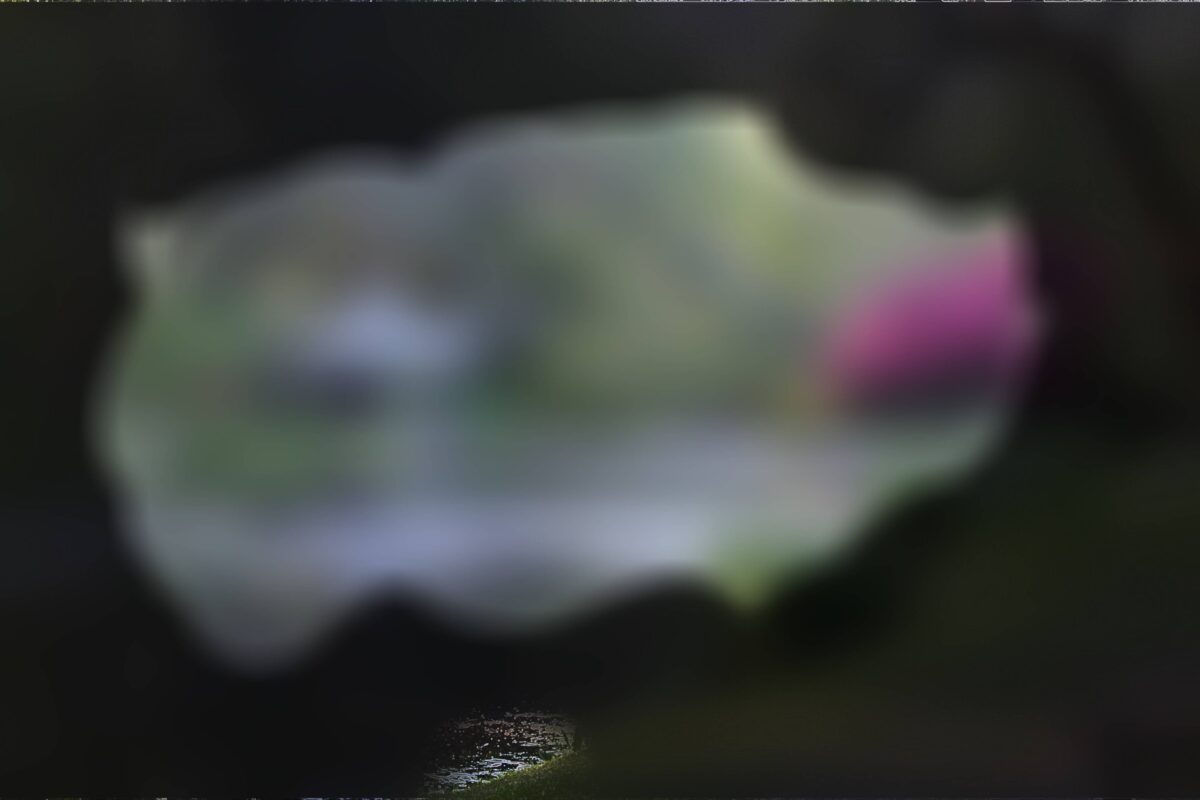 The same photo which is extremely blurred. There is also limited peripheral vision. A hint of pink can be seen to the right but other details are very limited