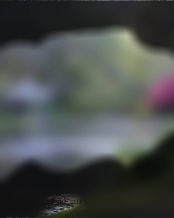 The same photo which is extremely blurred. There is also limited peripheral vision. A hint of pink can be seen to the right but other details are very limited