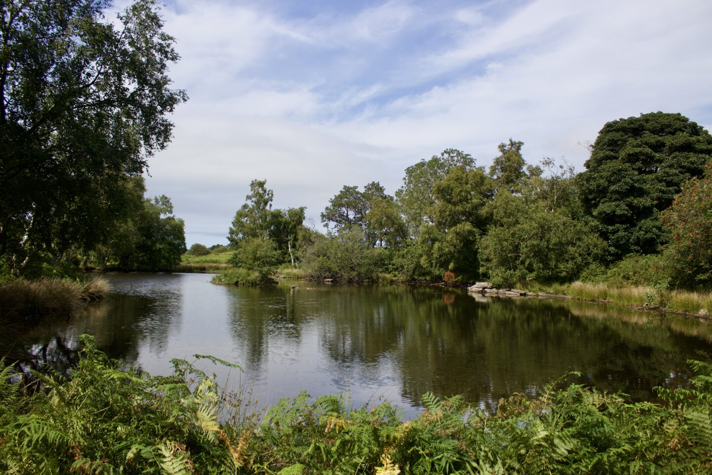A photo of a small lake surrounded by trees which reflect on the water