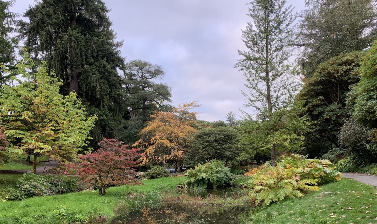A small lake which is surrounded by colourful trees and plants in colours like white, light orange and pink
