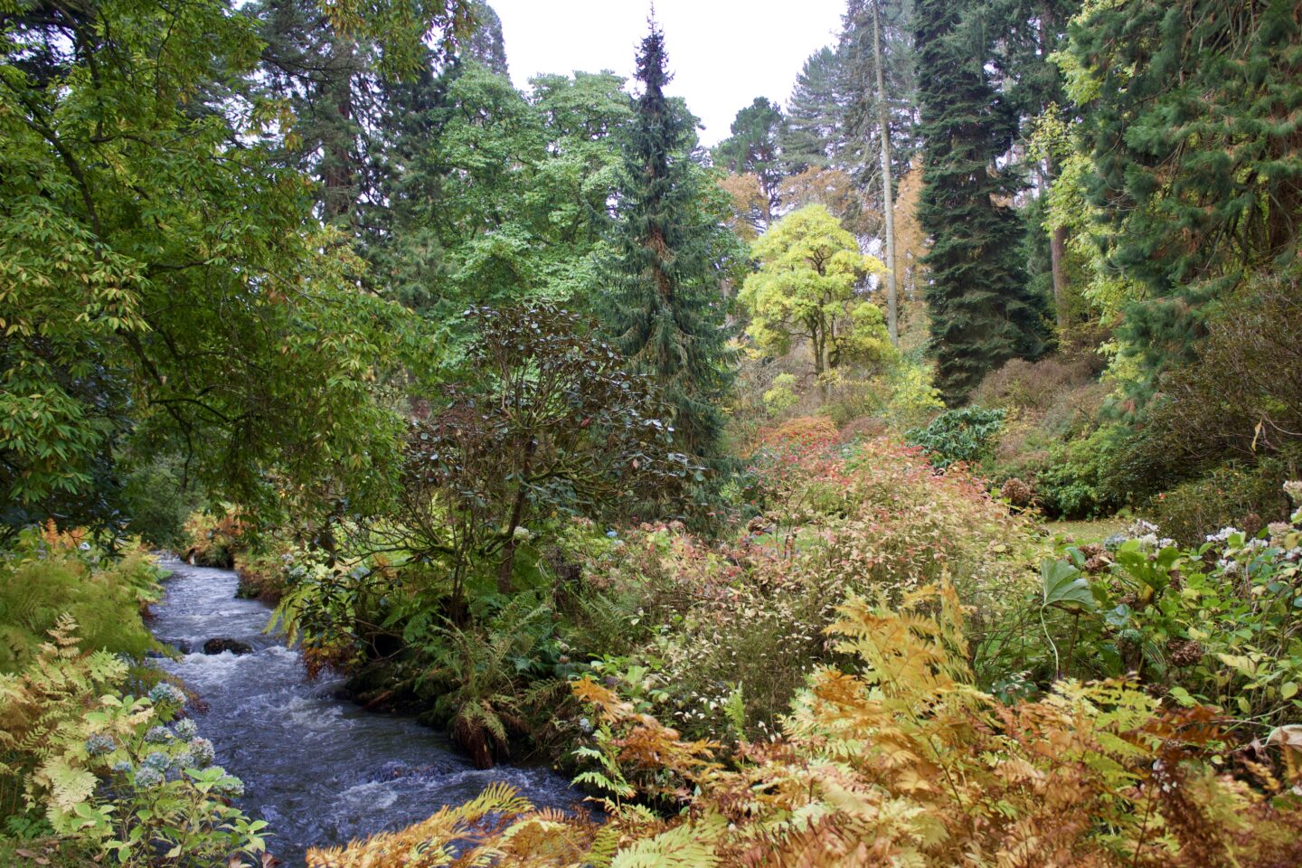 A small river that runs through trees which are set in an array of autumnal colours