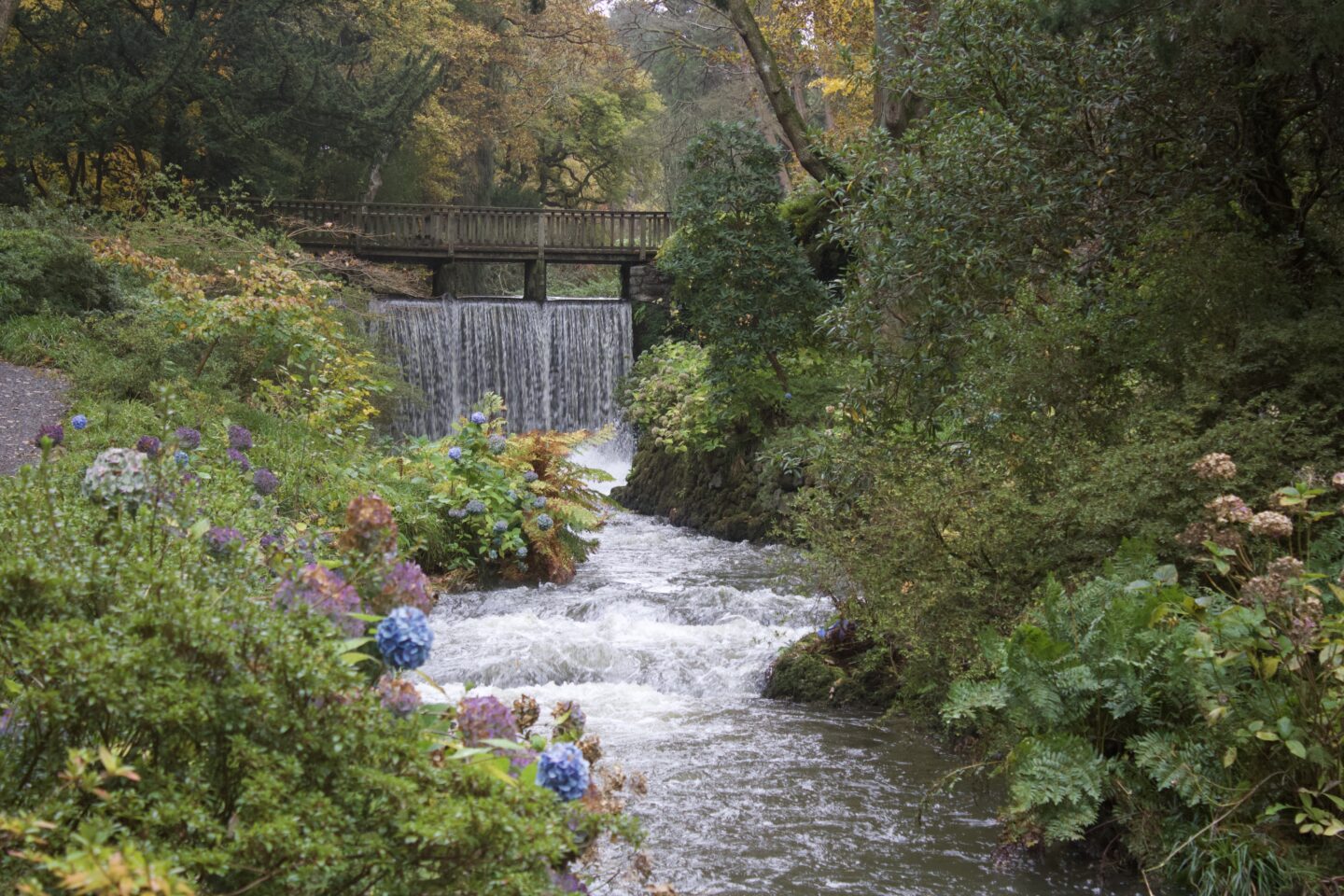 A waterfall flowing from a wooden bridge into a stream that's flanked by greenery
