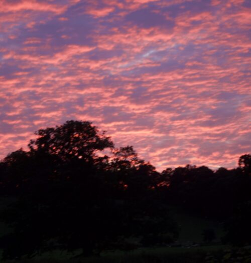 A sunset casting the entire sky in pink