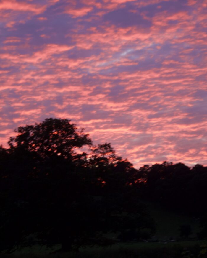 A sunset casting the entire sky in pink