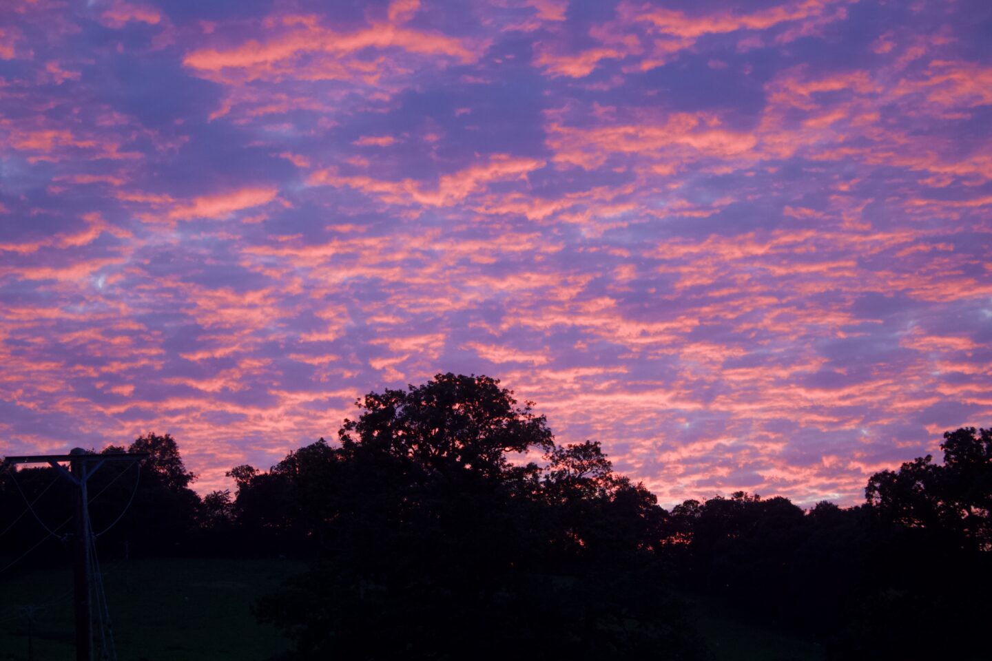 A rich sunset casting the entire sky in light pink patterns