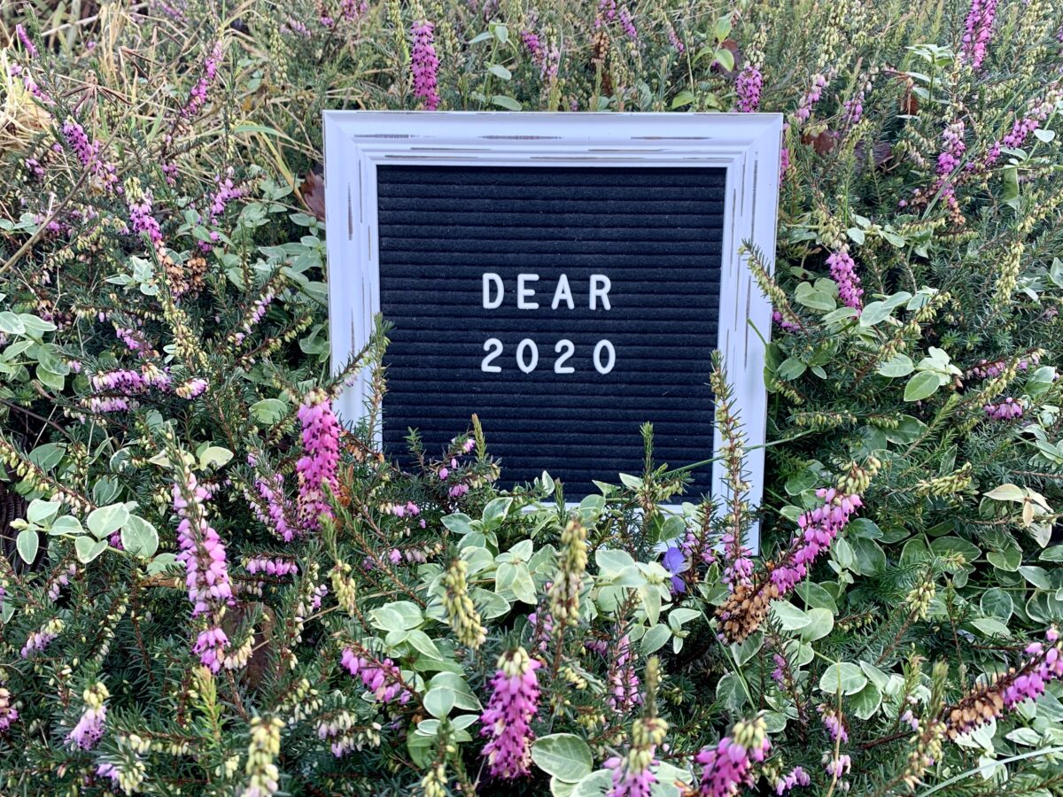 A black letter board which has a white vintage style frame. The letters on the board say Dear 2020. It's placed amongst pink and green flowers