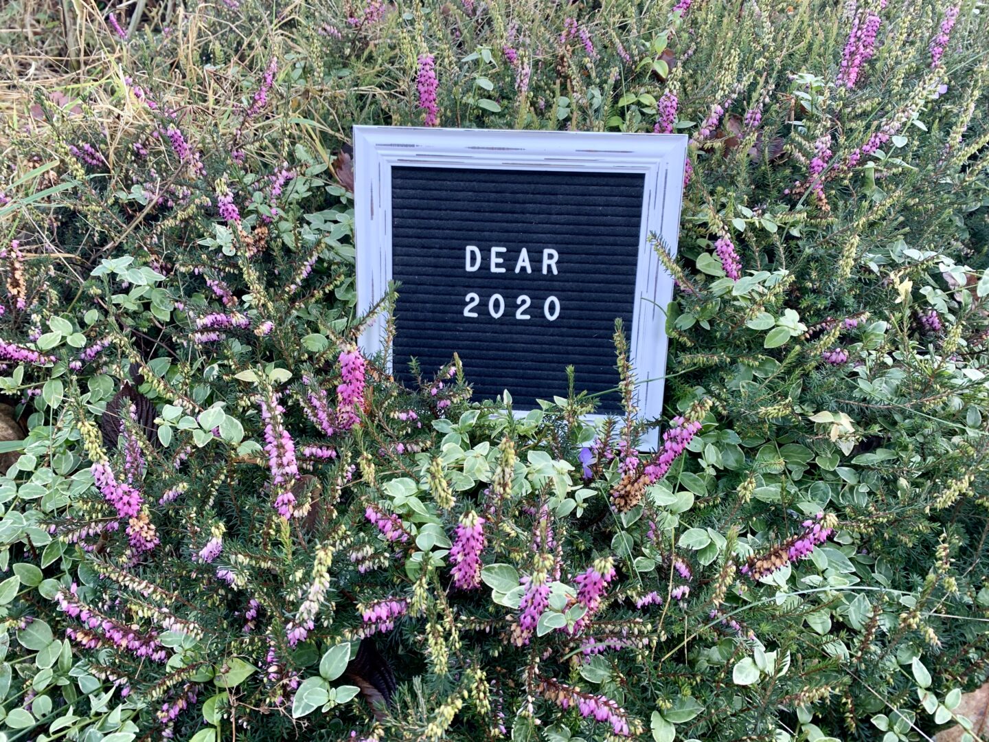 A variety of pink flowers and green plants surrounding a black felt letterboard which has a white vintage style frame