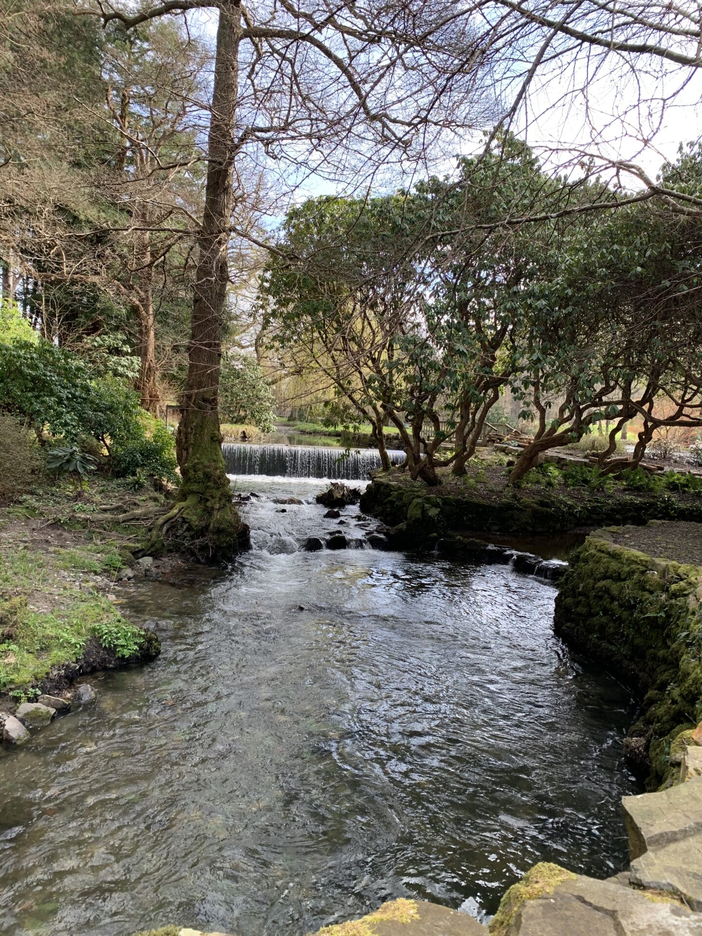 The sun highlights the ripples of a river that flows between trees and plants. A waterfall can be seen in the distance