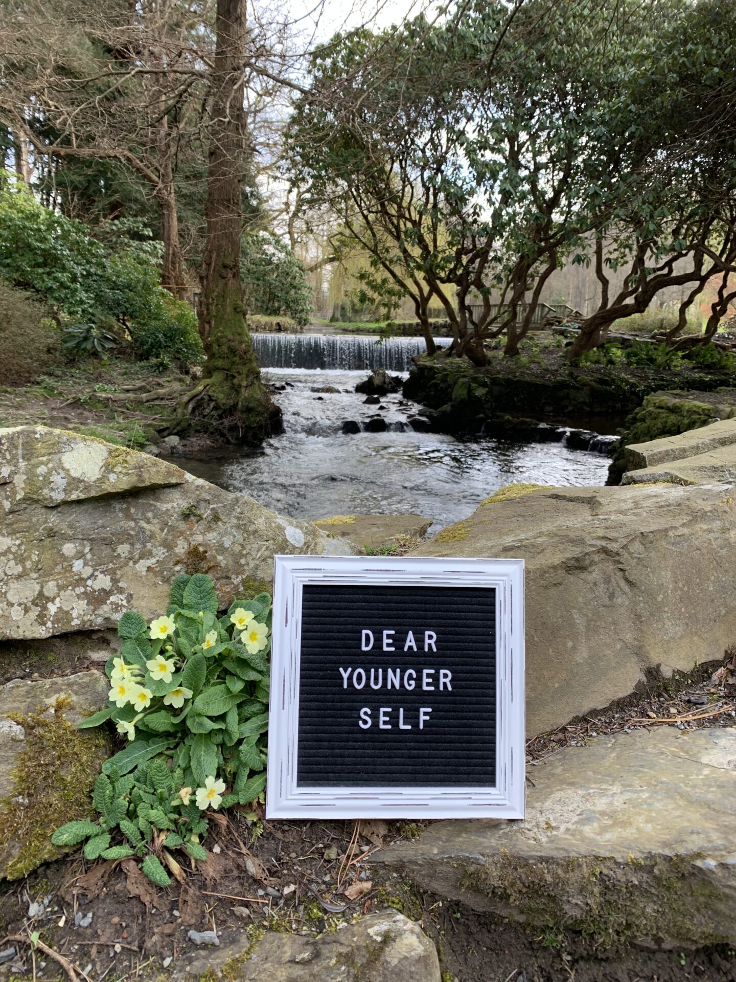 A black felt letter board with the words Dear Younger Self in white on it rests beside a primrose on some rocks in front of a river that is flanked by trees and plants