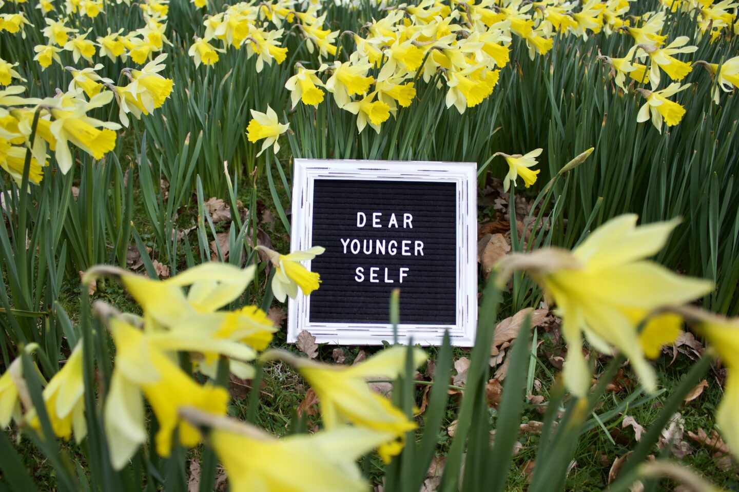 A white framed black letter board with the words Dear Younger Self in white letters. The board is nestled amongst a cluster of daffodils