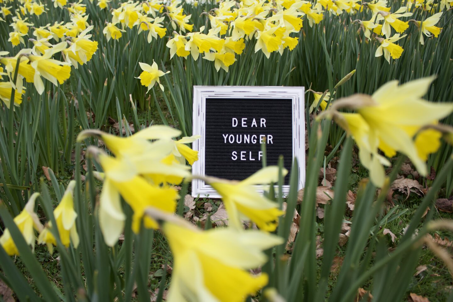 Yellow daffodils surround a black felt letter board that has the words Dear Younger Self on it in white letters