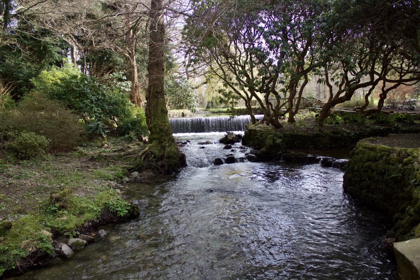 A river flanked by trees and grassy banks, a waterfall can be seen in the distance cascading under a small wooden bridge which is barely visible in the photo