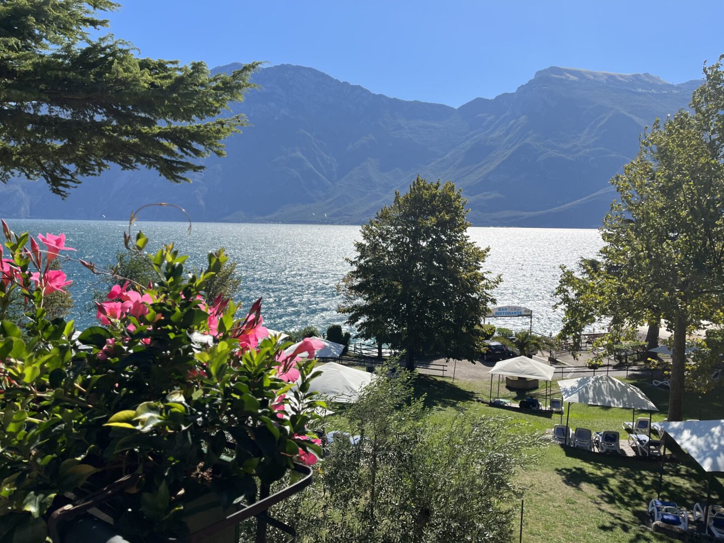 Pink flowers adorn a black railing in front of a lake which is framed by mountains. A tree with big leafy branches stands on the left hand side whilst other greenery lines the water's edge. The sun casts aspects of the photo in light and shadow.