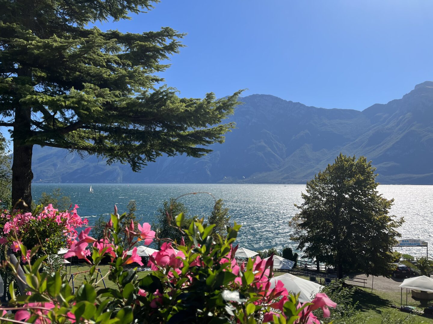 Pink flowers adorn a black railing in front of a lake which is framed by mountains. A tree with big leafy branches stands on the left hand side whilst other greenery lines the water's edge. The sun casts aspects of the photo in light and shadow.