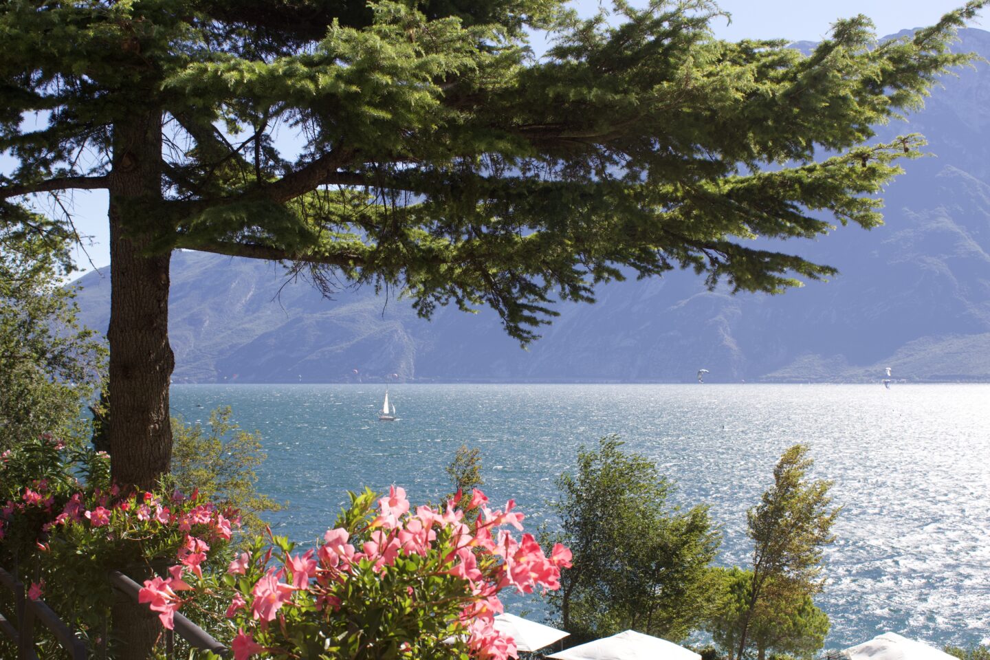 A tree with big leafy branches frame a view of a lake on a sunny day in Italy. Mountains line the far side of the water and pink flowers adorn a black railing in front of the tree.