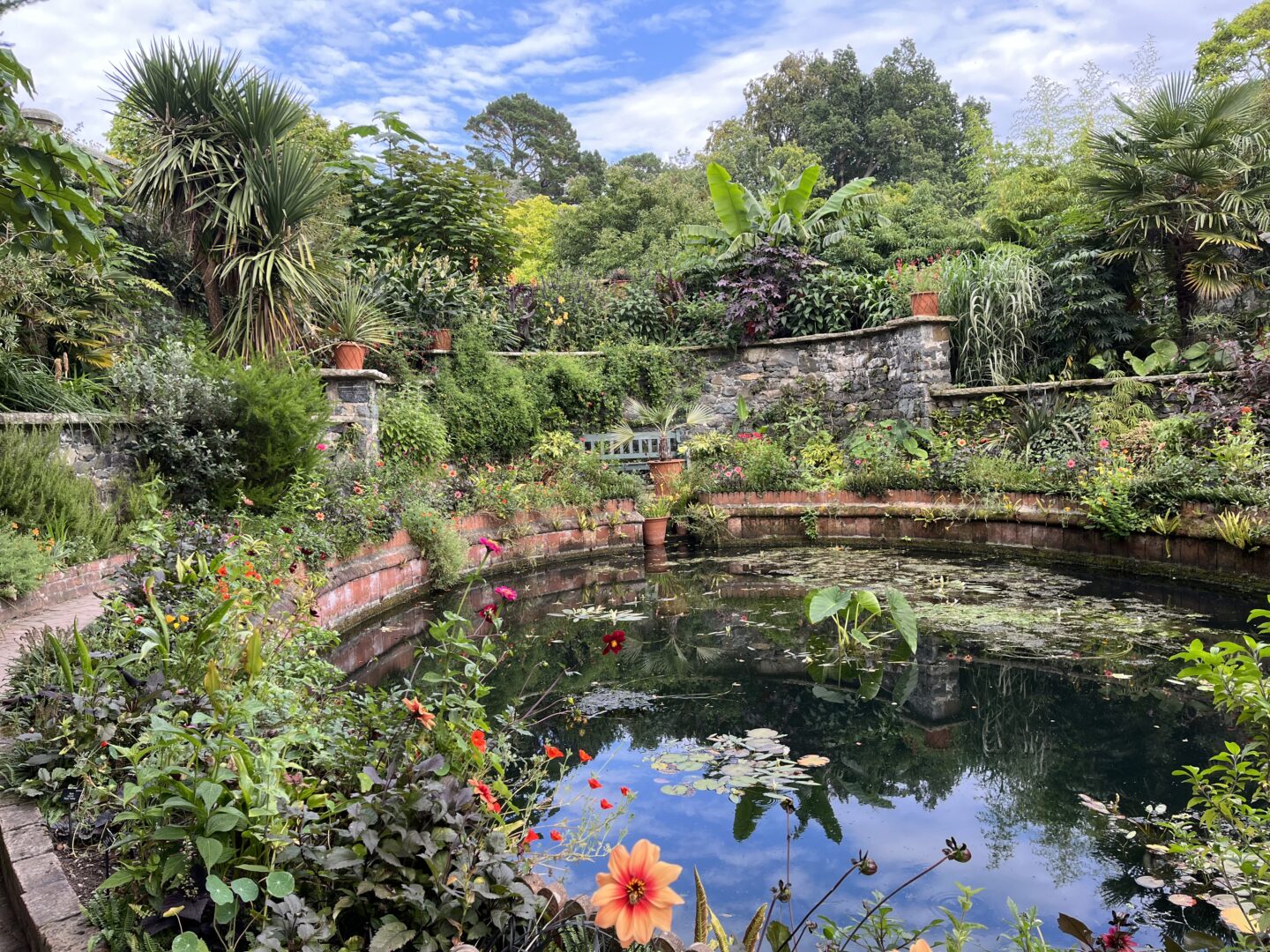 A lush garden with a circular pond at its centre. The pond is surrounded by a variety of vibrant flowers in hues of red, orange, yellow and pink. There are also green plants with different leaves in all shapes and sizes. The water in the pond is calm, reflecting the surrounding flowers and a partly cloudy blue sky. On the edge of the pond, there is a stone wall with potted plants on top. There are tall trees in the background.