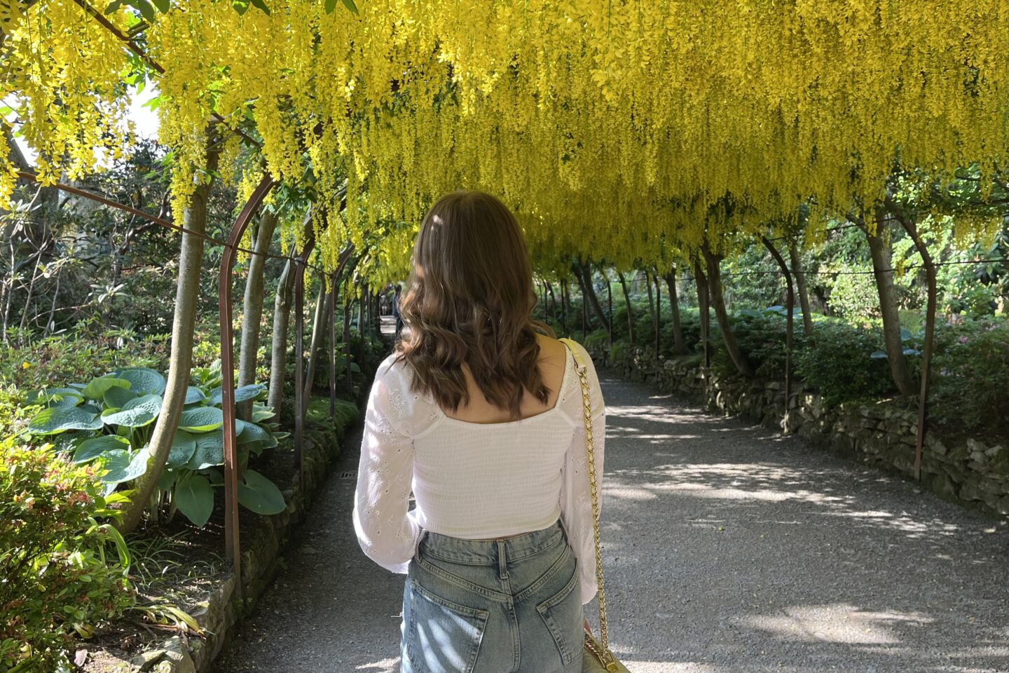 Elin walking down a path in a garden. She is seen from behind, wearing a white long-sleeved top and high-waisted blue jeans. She has long wavy brown hair and is carrying a small white handbag with a gold chain strap. The path is shaded by an overhead canopy of bright yellow flowers hanging down from the trees, creating a tunnel-like effect. The surrounding area is lush with green foliage and plants.