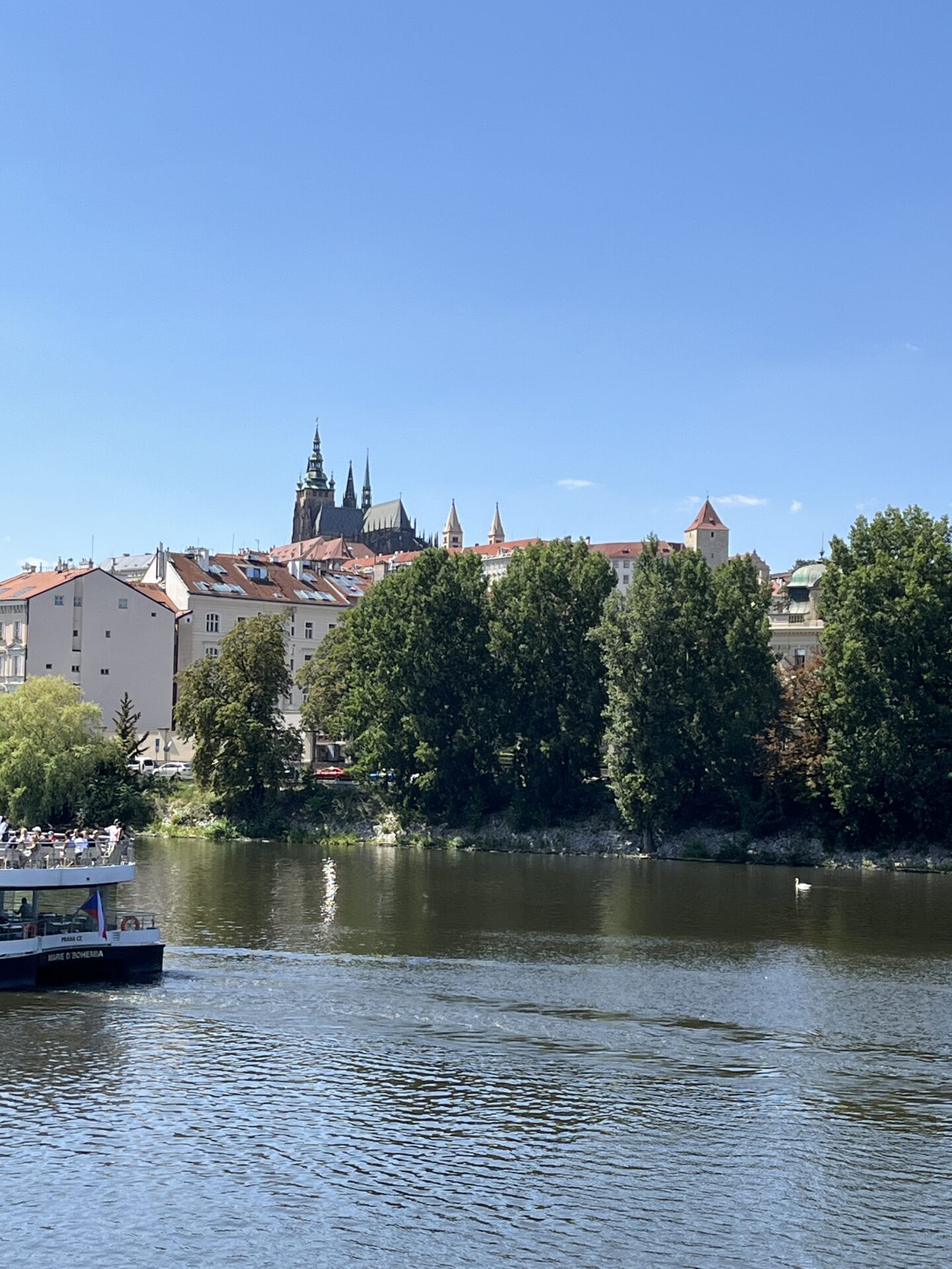A scenic view of a river with trees lining the opposite bank. Behind the trees, there are several buildings with red tiled roofs and Prague Castle is seen in the distance, towering over the city with its tall spires.