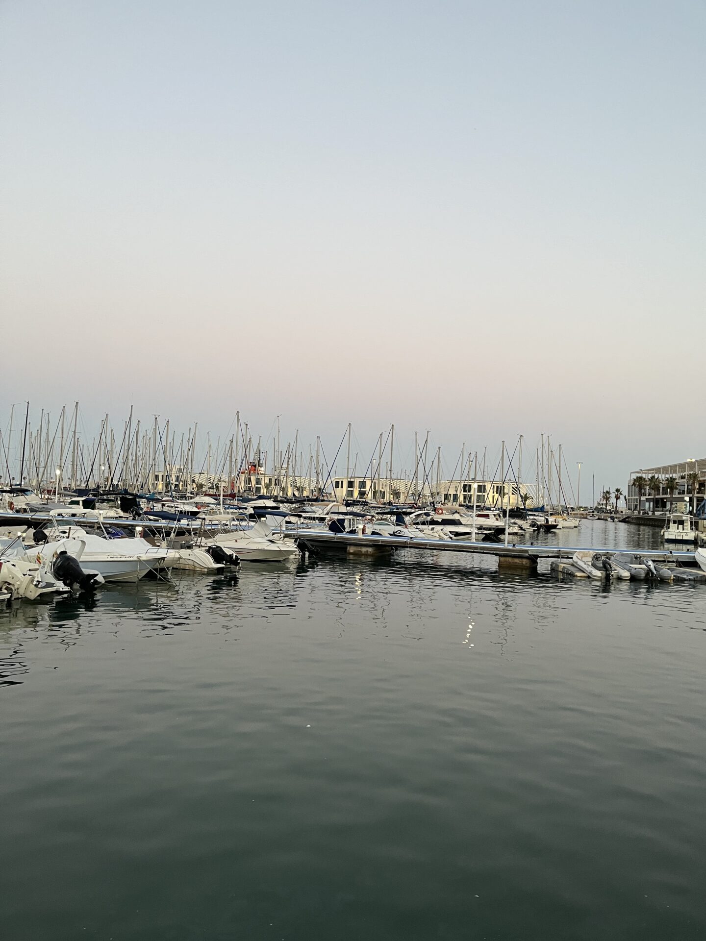 A marina filled with boats and yachts. Their tall masts reflect on the water along with light from some of the buildings on the shore.