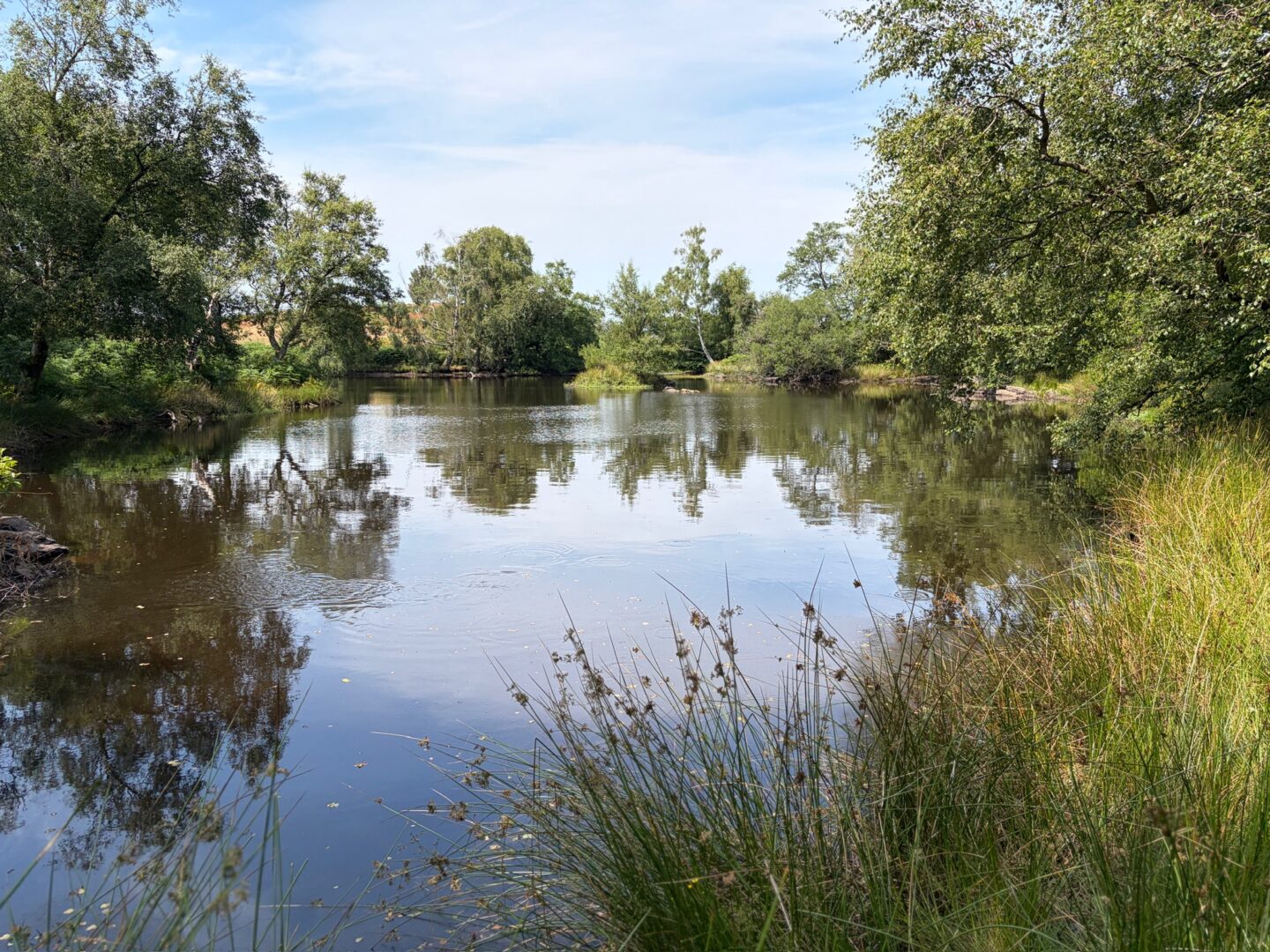 A very small calm lake bordered by trees and greenery which are reflected on the water's surface.